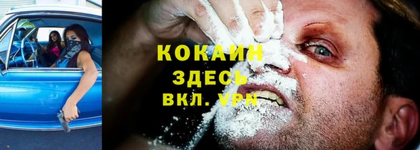 spice Бородино